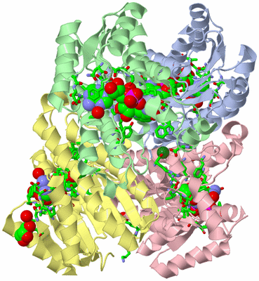 Image Asym./Biol. Unit - sites