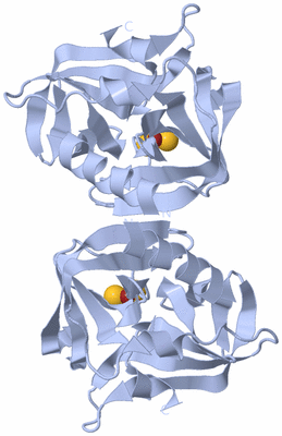 Image Biological Unit 2