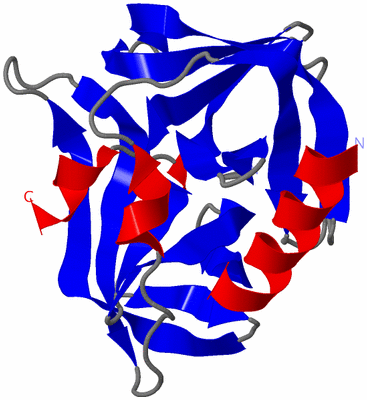 Image Asymmetric Unit