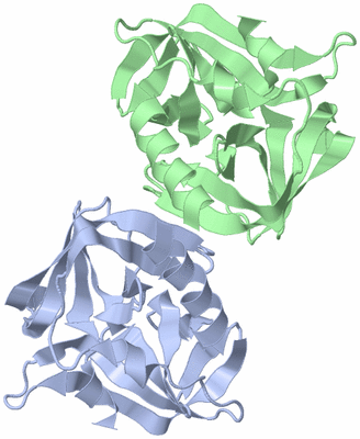 Image Biological Unit 3