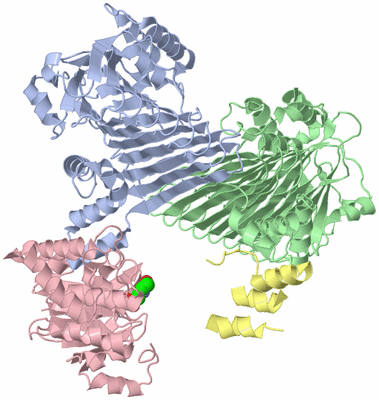 Image Asym./Biol. Unit