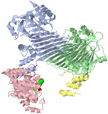 Image Asym./Biol. Unit - sites