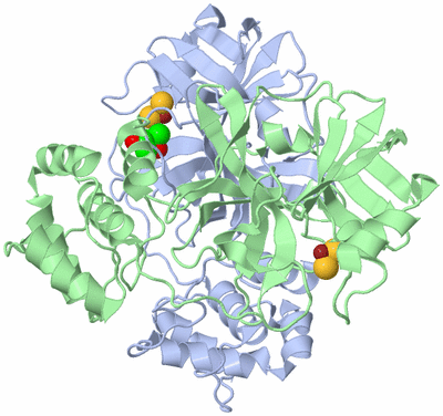 Image Asym./Biol. Unit