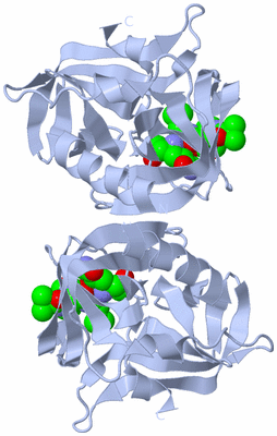 Image Biological Unit 2