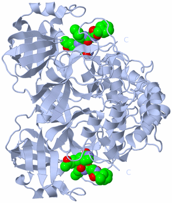 Image Biological Unit 2