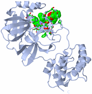 Image Biol. Unit 1 - sites