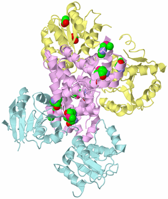 Image Biological Unit 2