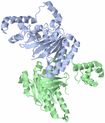 Image Asym./Biol. Unit