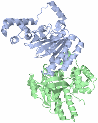 Image Asym./Biol. Unit