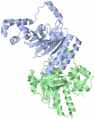 Image Asym./Biol. Unit