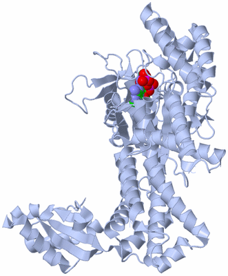 Image Biological Unit 1