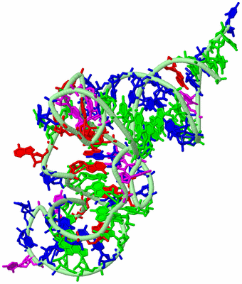 Image Biological Unit 2