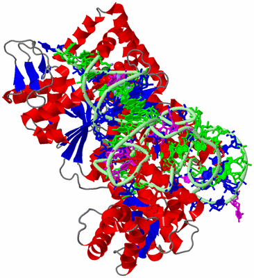 Image Asym. Unit - sites