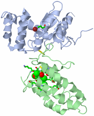 Image Asym./Biol. Unit - sites