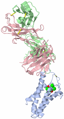 Image Biological Unit 1