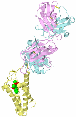 Image Biological Unit 2