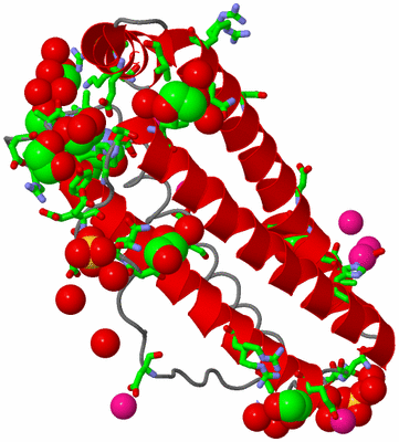 Image Asym. Unit - sites