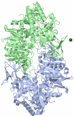 Image Biological Unit 1