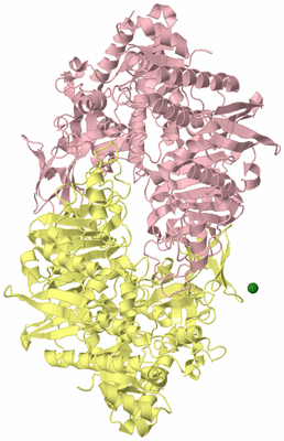 Image Biological Unit 2