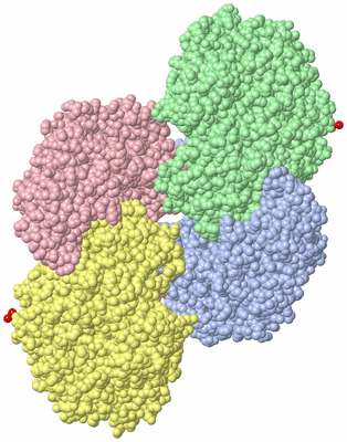 Image Asym. Unit - sites