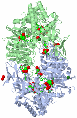 Image Biol. Unit 1 - sites