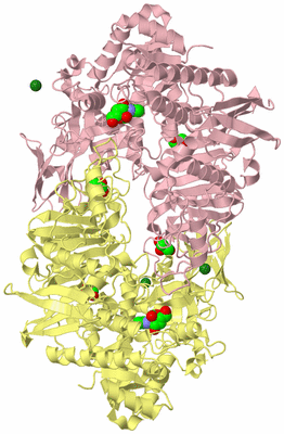 Image Biological Unit 2