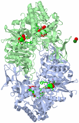 Image Biol. Unit 1 - sites