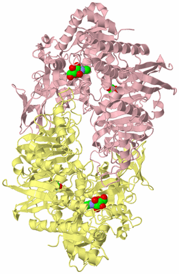 Image Biological Unit 2