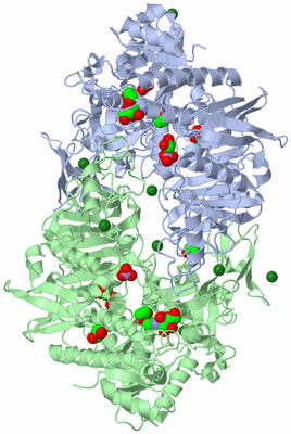 Image Asym./Biol. Unit