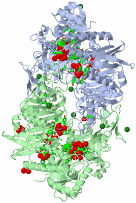 Image Asym./Biol. Unit - sites