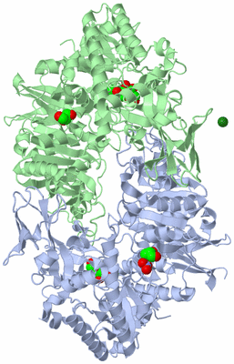 Image Biological Unit 1