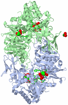 Image Biol. Unit 1 - sites