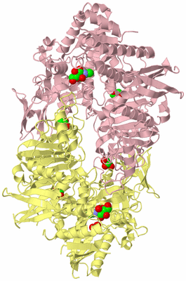 Image Biological Unit 2