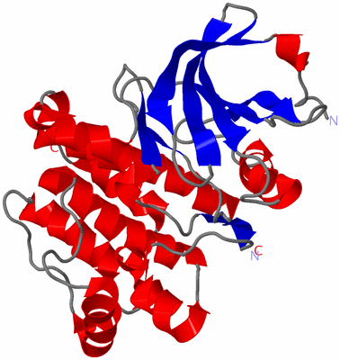 Image Asym./Biol. Unit