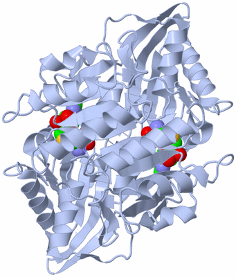 Image Biological Unit 1