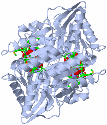 Image Biol. Unit 1 - sites