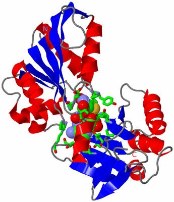 Image Asym. Unit - sites