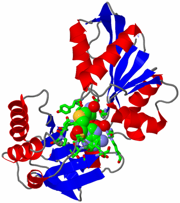 Image Asym. Unit - sites