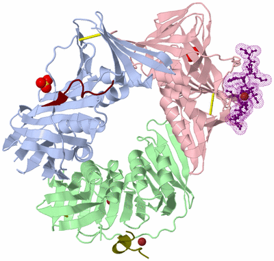 Image Biological Unit 1