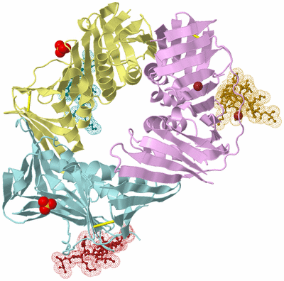 Image Biological Unit 2