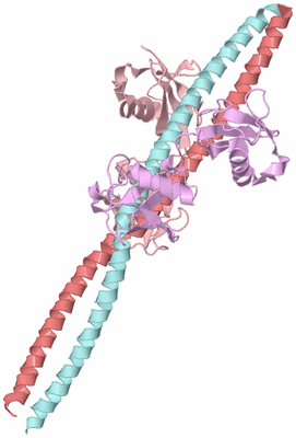 Image Biological Unit 2