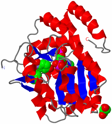 Image Asym./Biol. Unit