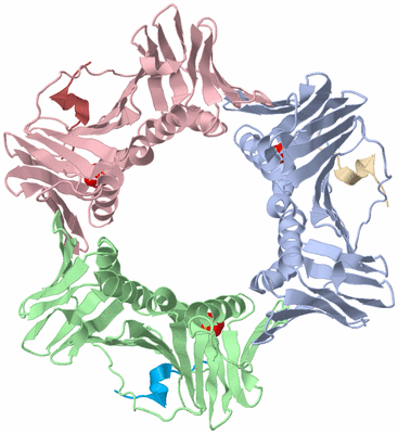 Image Biological Unit 1