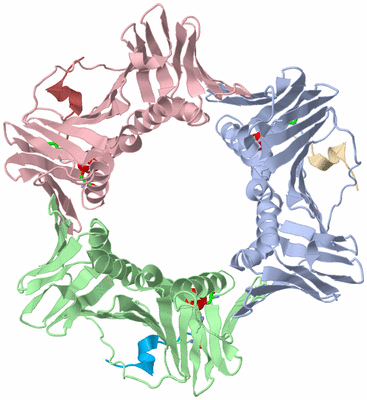 Image Biol. Unit 1 - sites