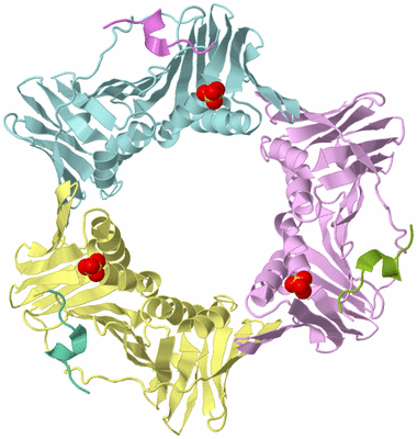 Image Biological Unit 2