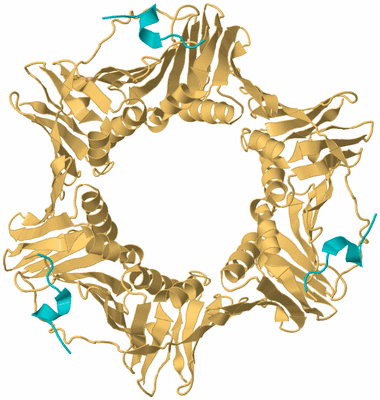 Image Biological Unit 3