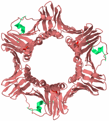 Image Biological Unit 4