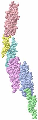 Image Asymmetric Unit