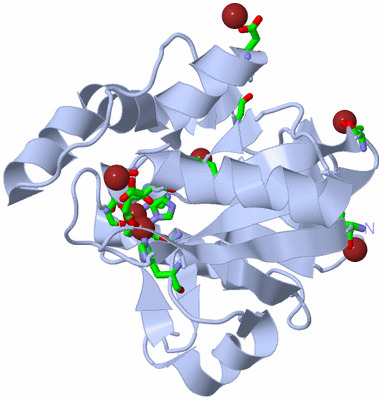 Image Biol. Unit 1 - sites