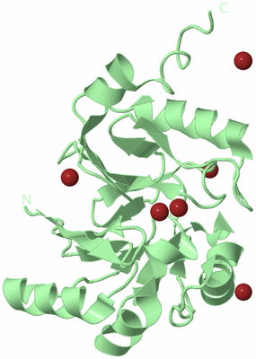 Image Biological Unit 2